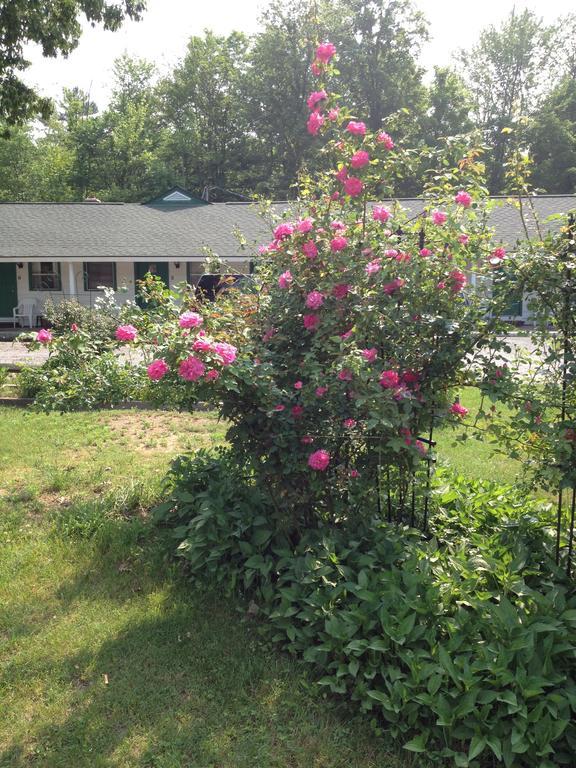 Wilton Mcgregor Inn Motel المظهر الخارجي الصورة